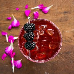 Tropical Margarita Collection Variety Pack